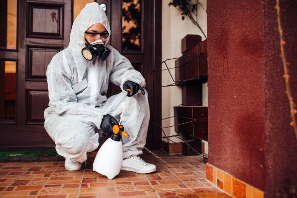 Reliable Mosquito Control contractor in Tangelo Park, FL by Show Me Pest Control